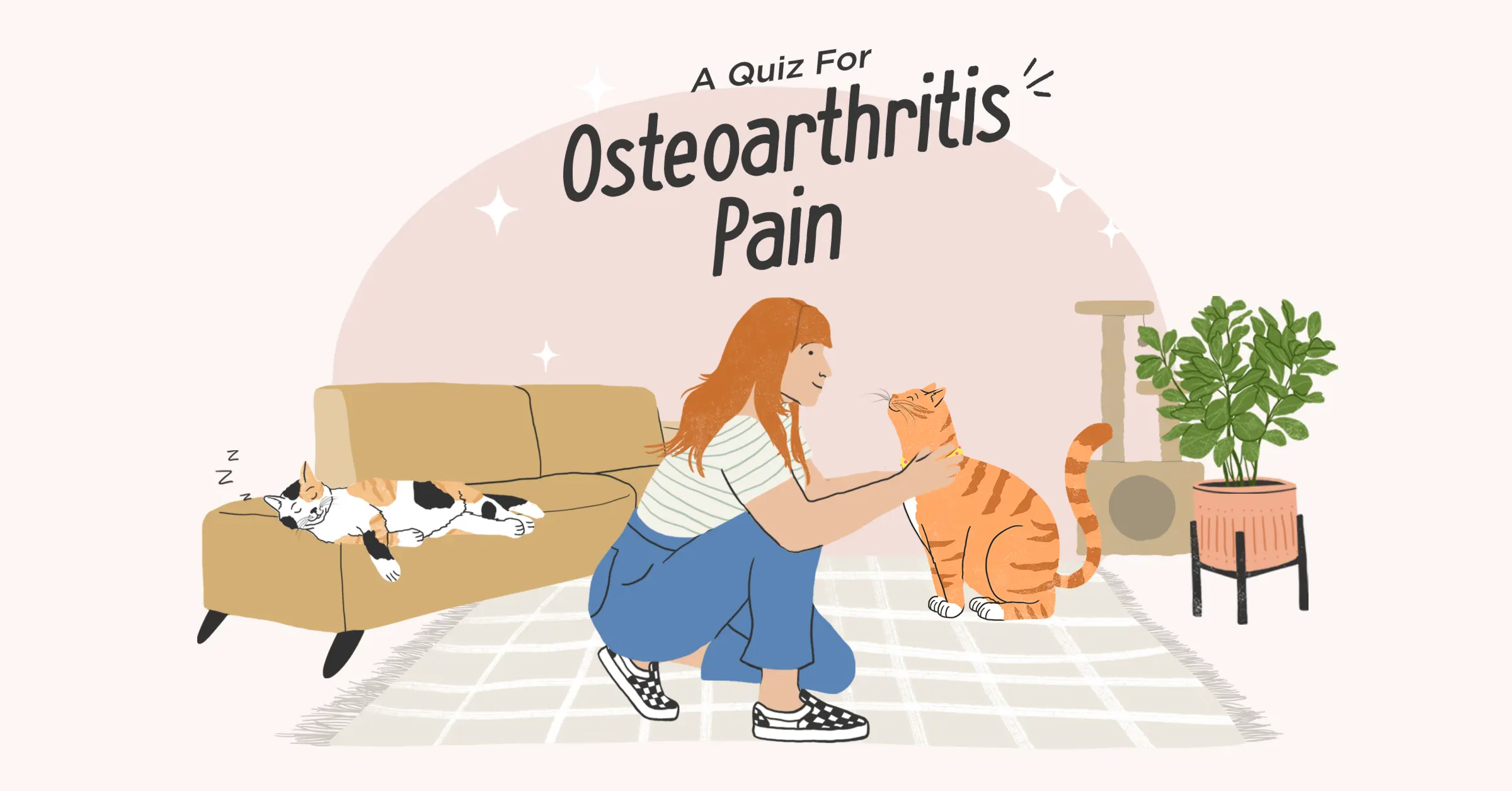 Feline Osteoarthritis Quiz