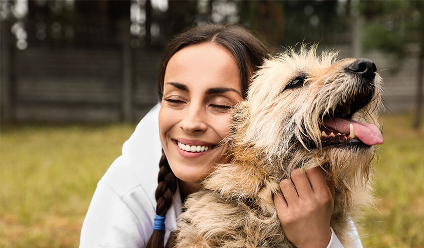 Everything You Wanted to Know About Pet DNA Testing