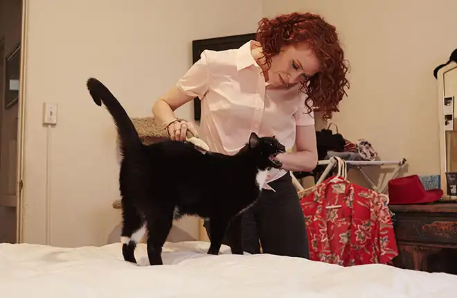 A woman standing on a bed grooming a black cat.