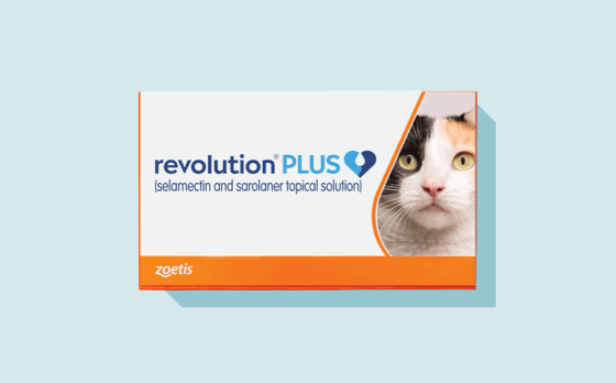 Revolution Plus Provides 6-in-1 Pest Protection for Your Cat