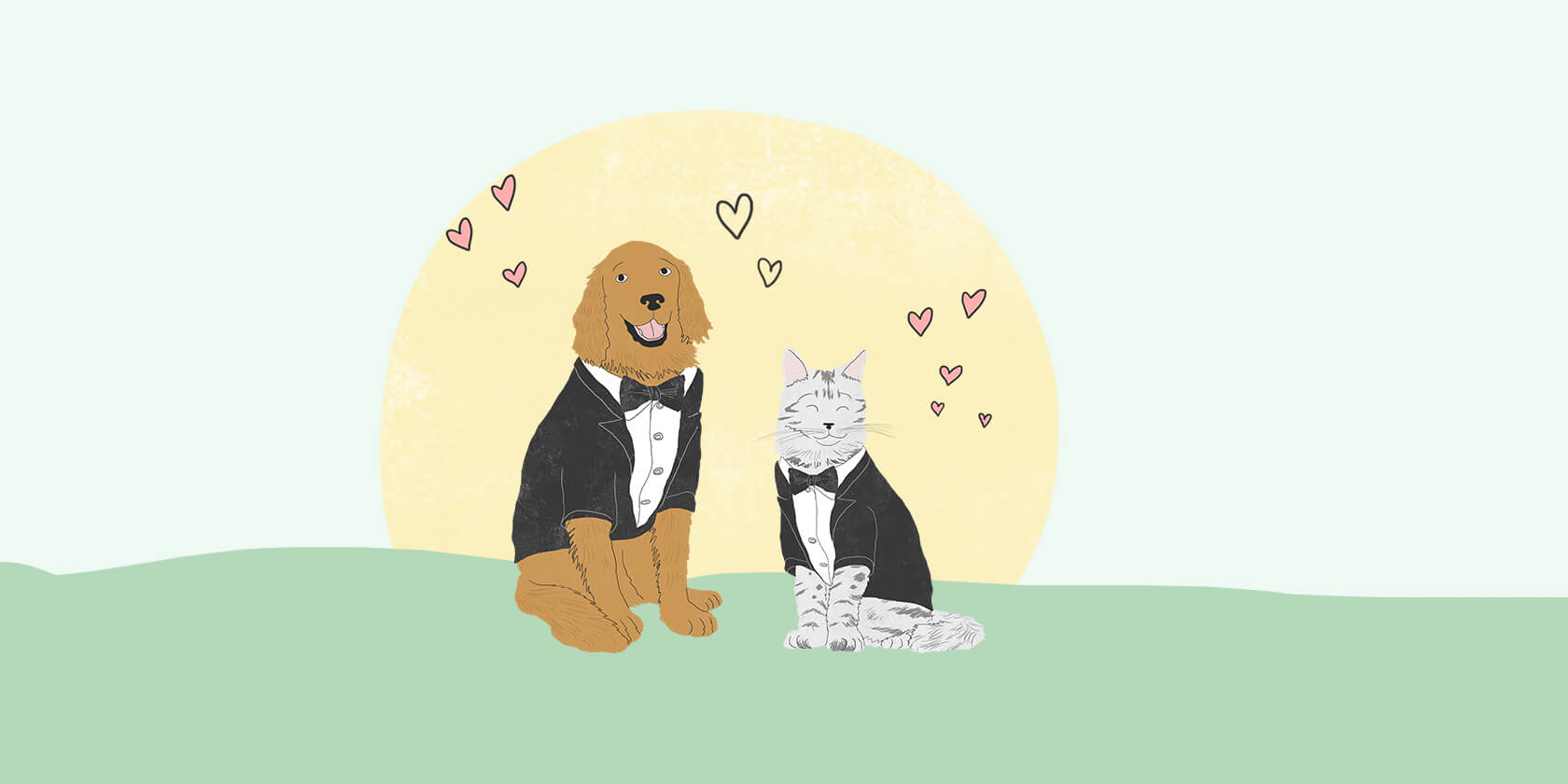 Dog and cat wearing tuxedo