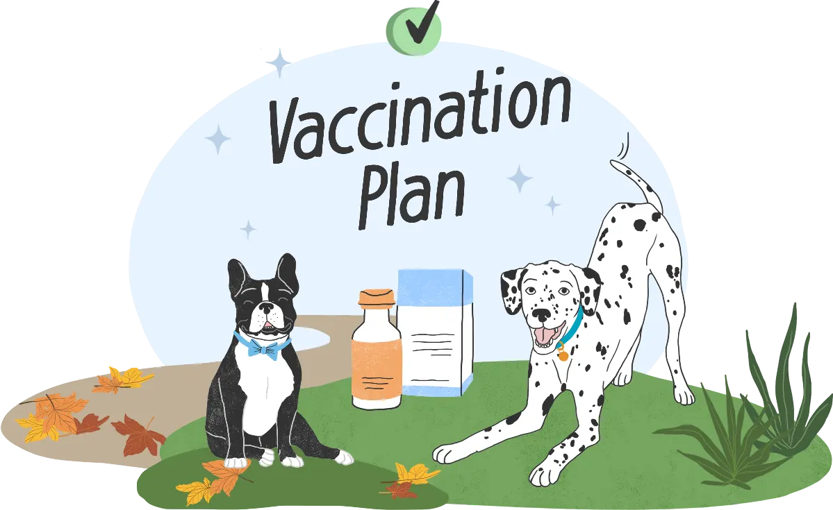 Illustration of dogs making vaccination plans