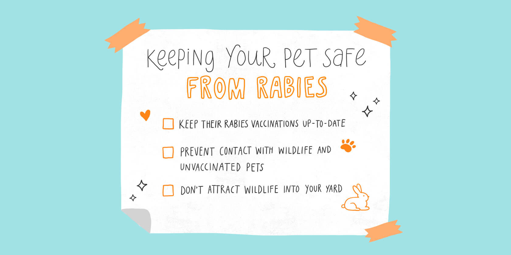 Keeping your pet safe from rabies.