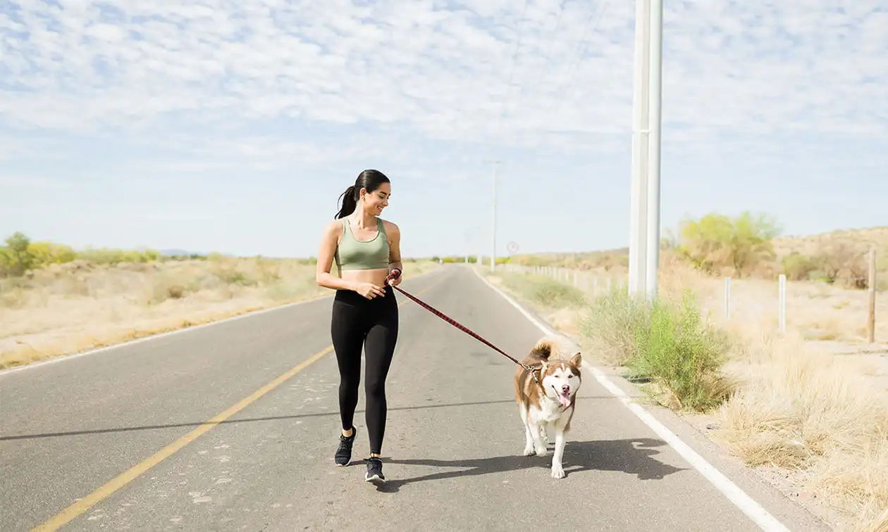 A woman walking a dog on a leash down a road.