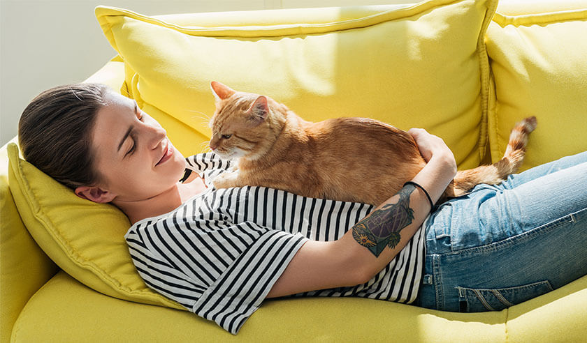 The Most Affectionate Cat Breeds