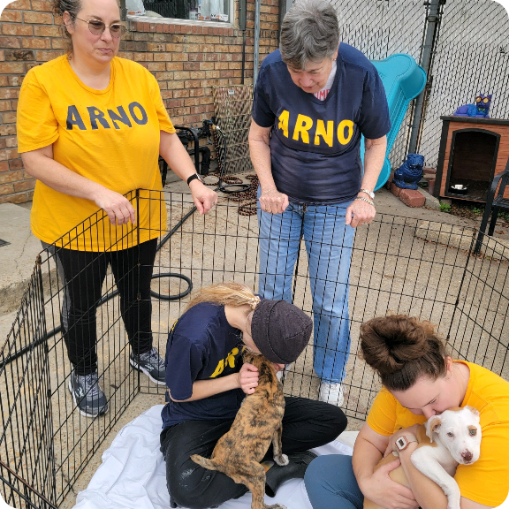 Animal Rescue New Orleans