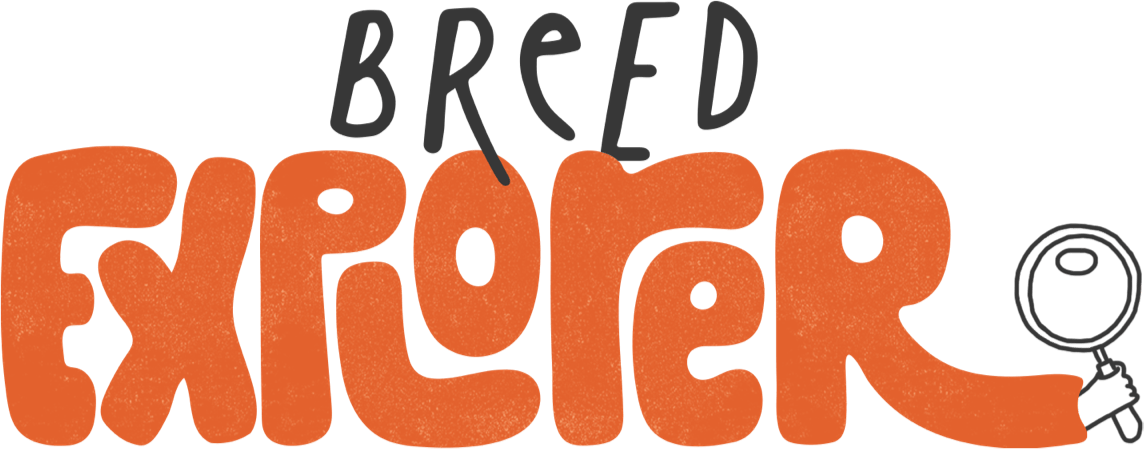 Breed Explorer