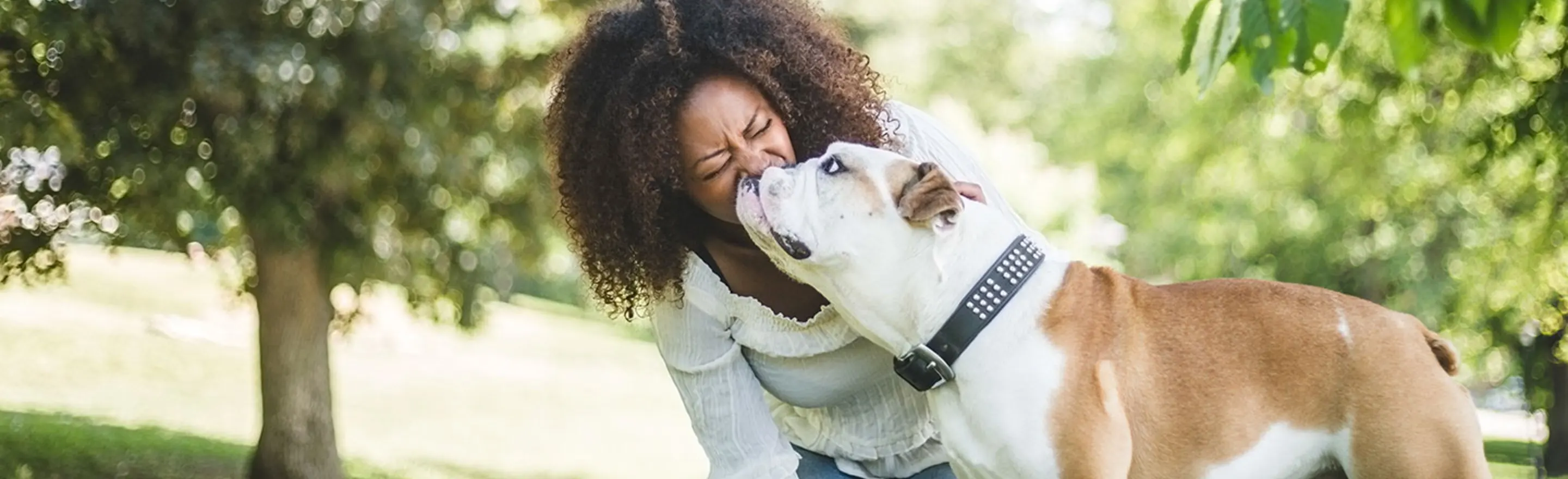 bulldog licking woman's face