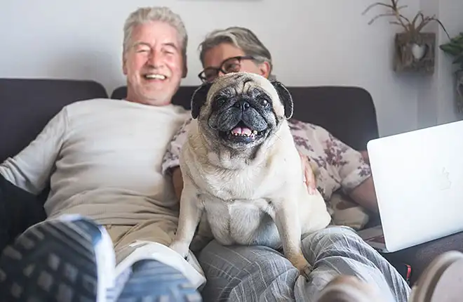 A man and woman sitting on a couch with a dog.