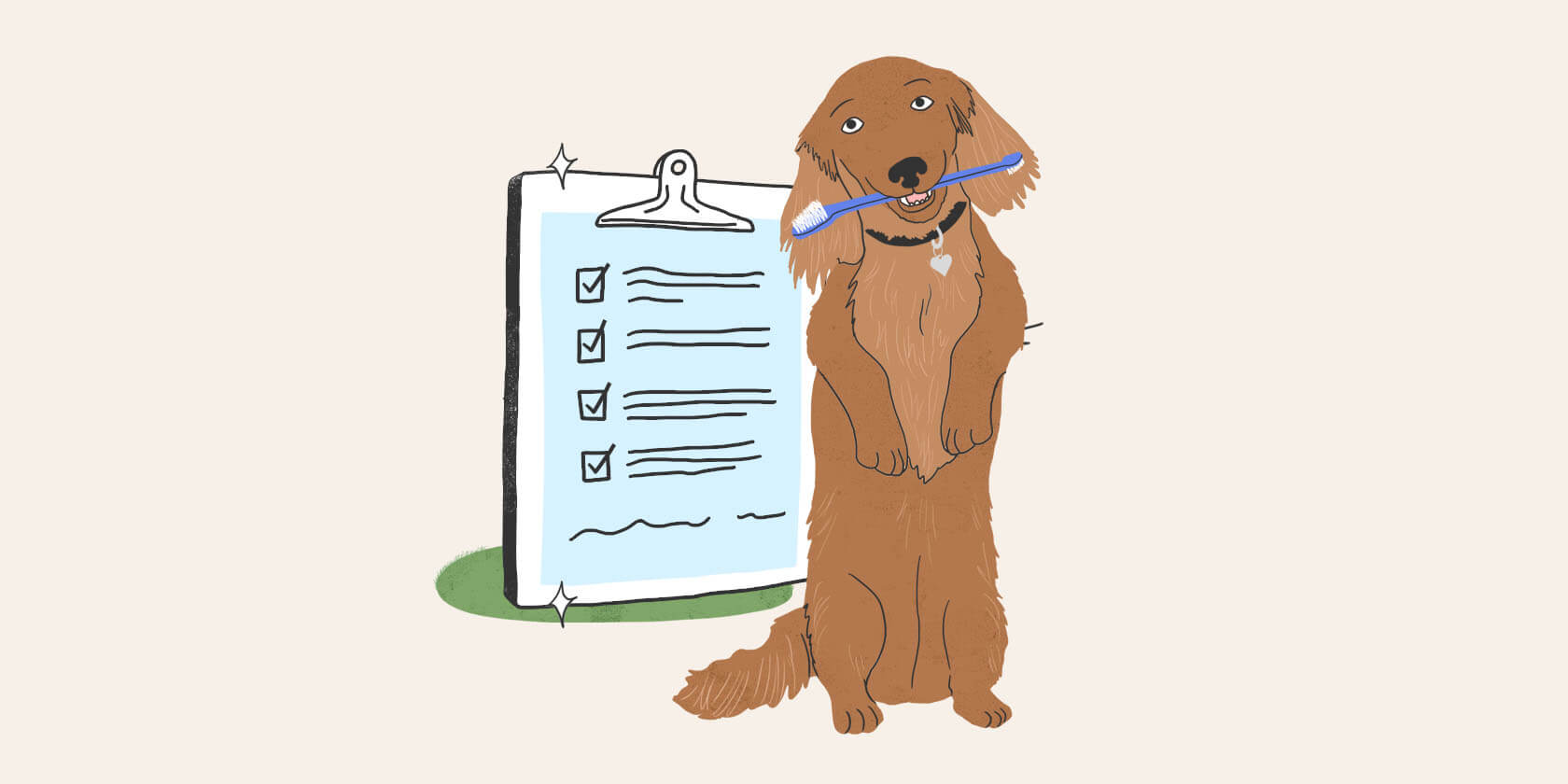 Dog dental checklist