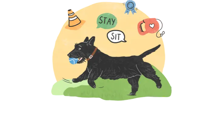 Enrichment Calendar for&nbsp;Dogs