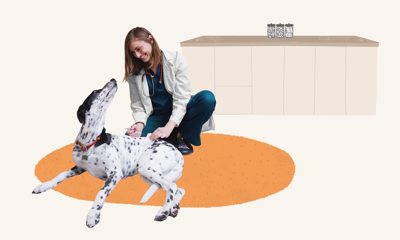 A woman kneeling down to pet a dalmatian dog.