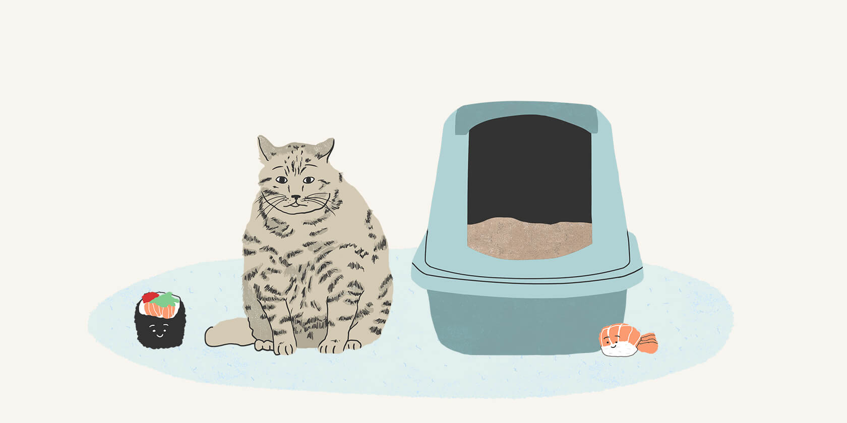 Overweight cat next to litter box