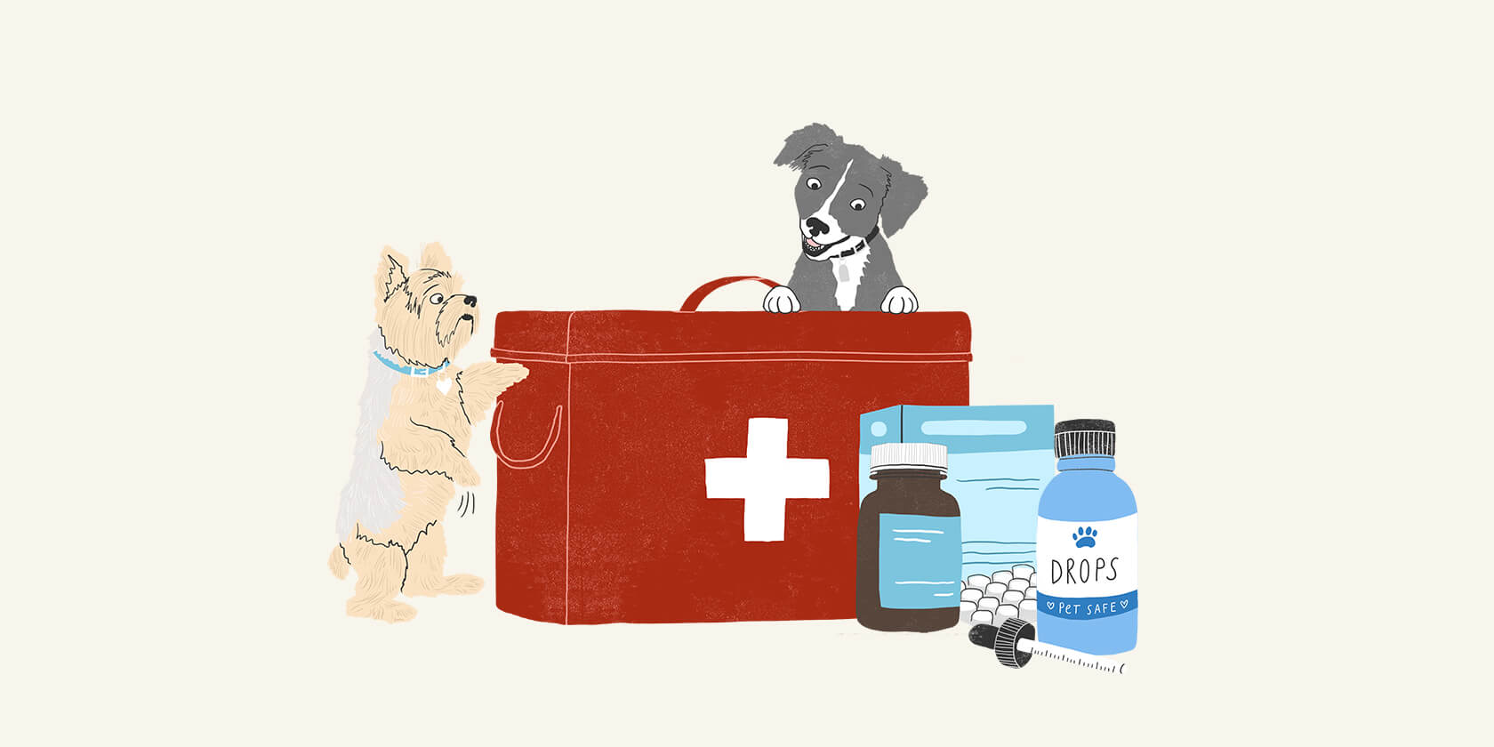 Two dogs with a first aid kit