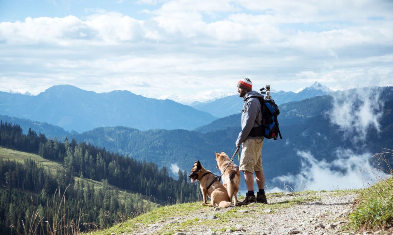 Trekking on sale with dog