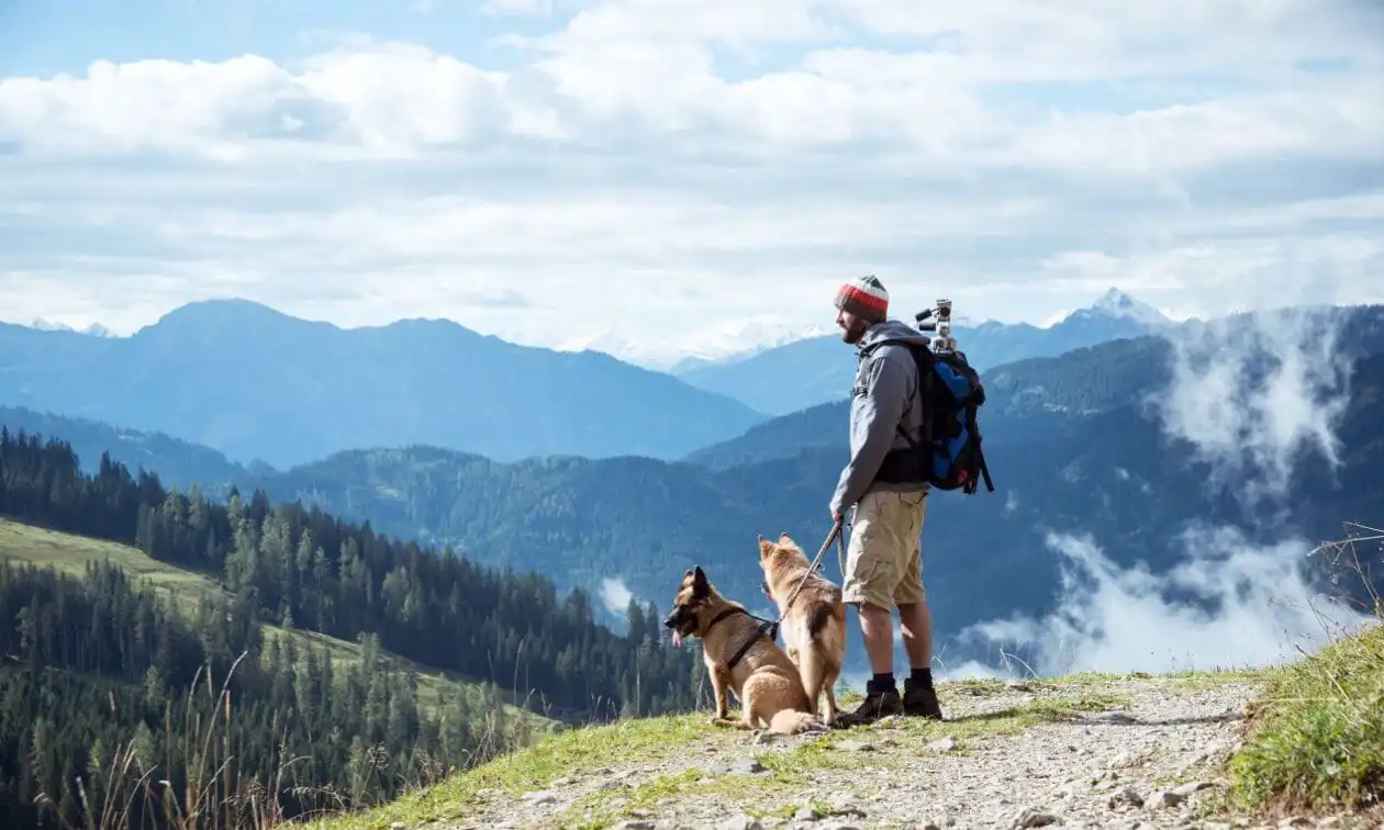 Man with his dogs on a hike.