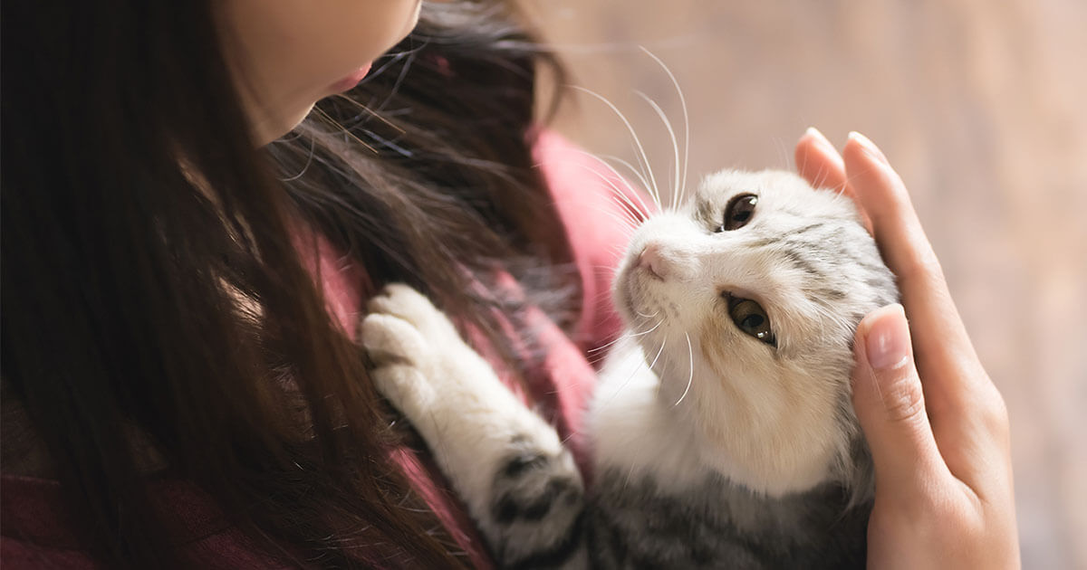 Cats Recognize Their Own Names--Even If They Choose to Ignore Them