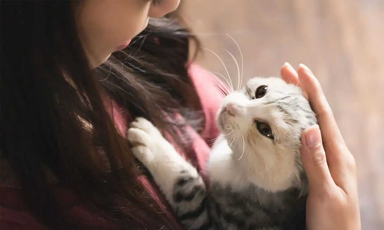 A woman holding a cat in her hands.