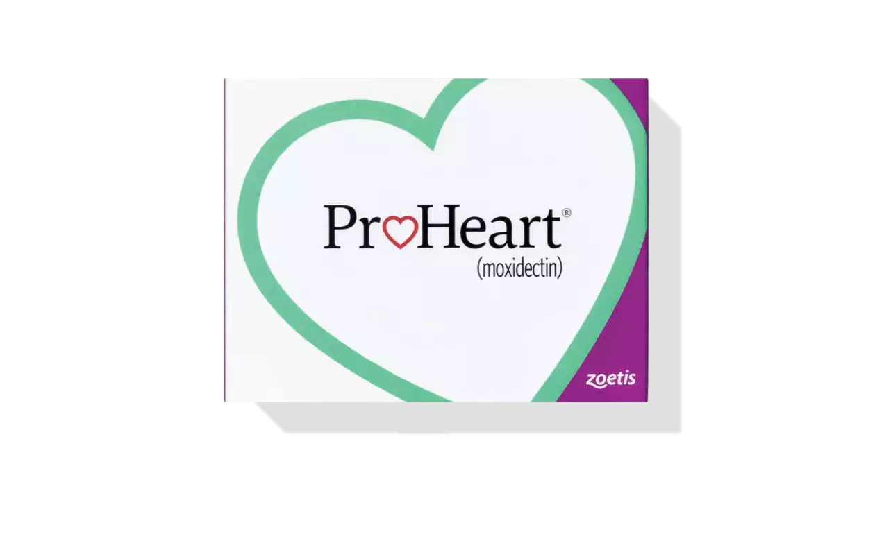 Learn More About the Benefits of&nbsp;ProHeart