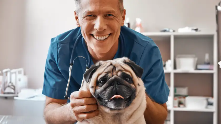 ¿Listo para reducir la picazón alérgica? Te ayudamos a prepararte para tu visita veterinaria