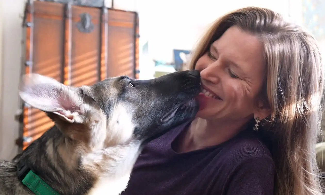 Dog kissing owner