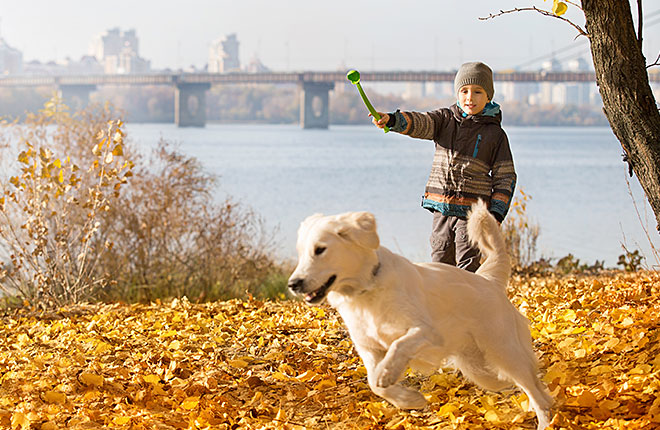A young boy playing with a white dog in a park.