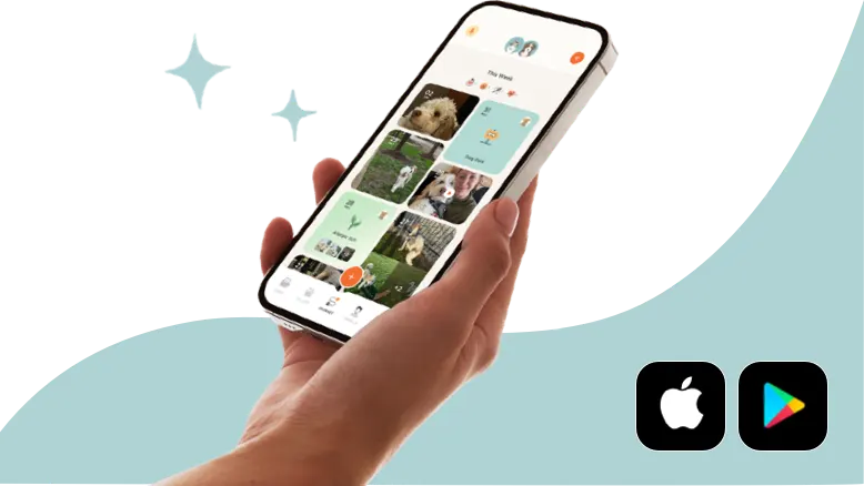 Get The Pack—Your All-in-One <br>Pet Care App</br>