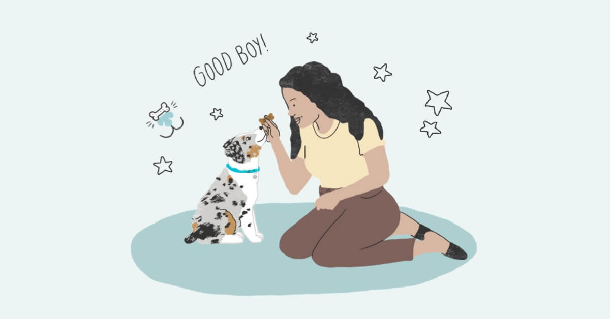 Printable Dog Training Commands List Zoetis Petcare