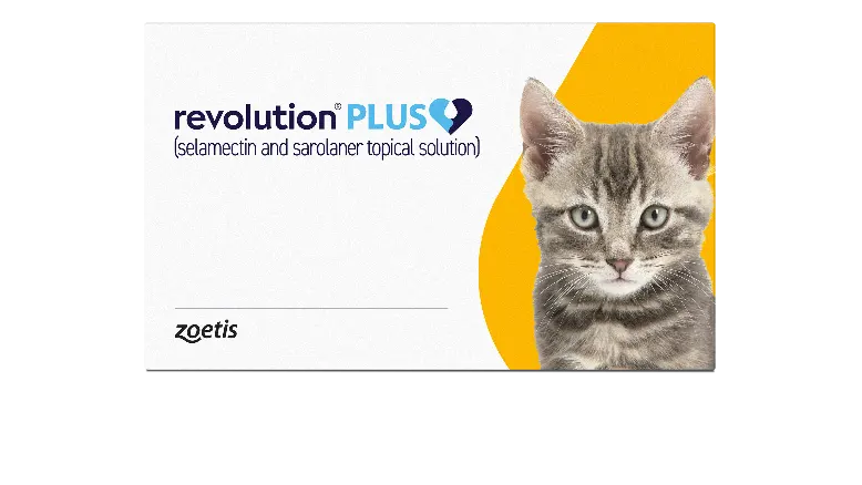 Revolution Plus Provides Broad-Spectrum Pest Protection for Your Cat