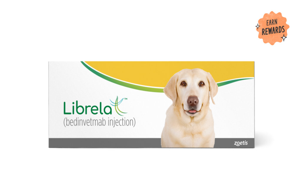Control OA Pain and Give Your Dog More Days of Play