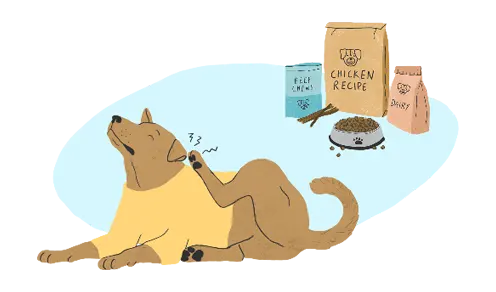 Common Food Allergies for Dogs