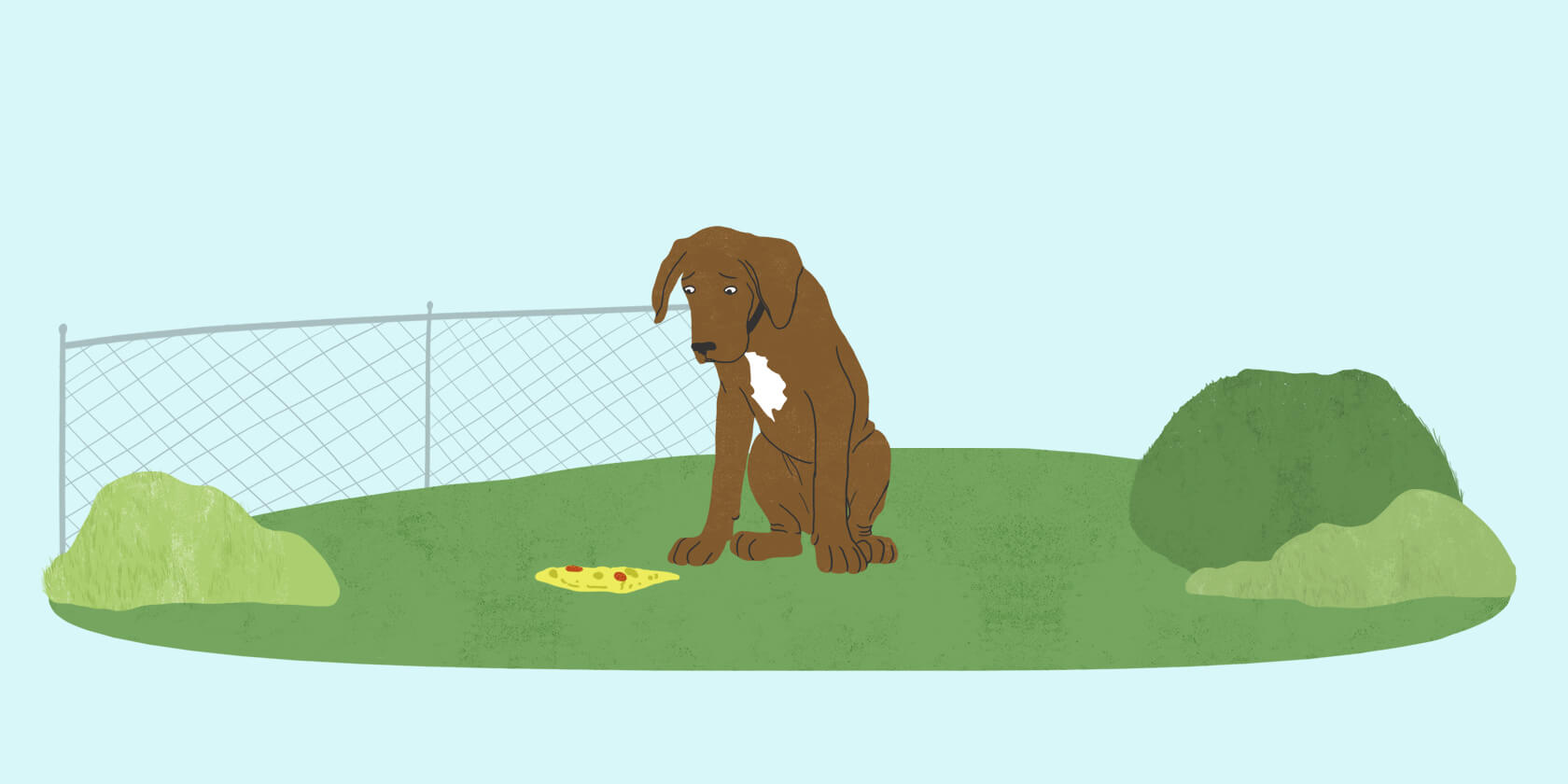 what causes dogs to vomit