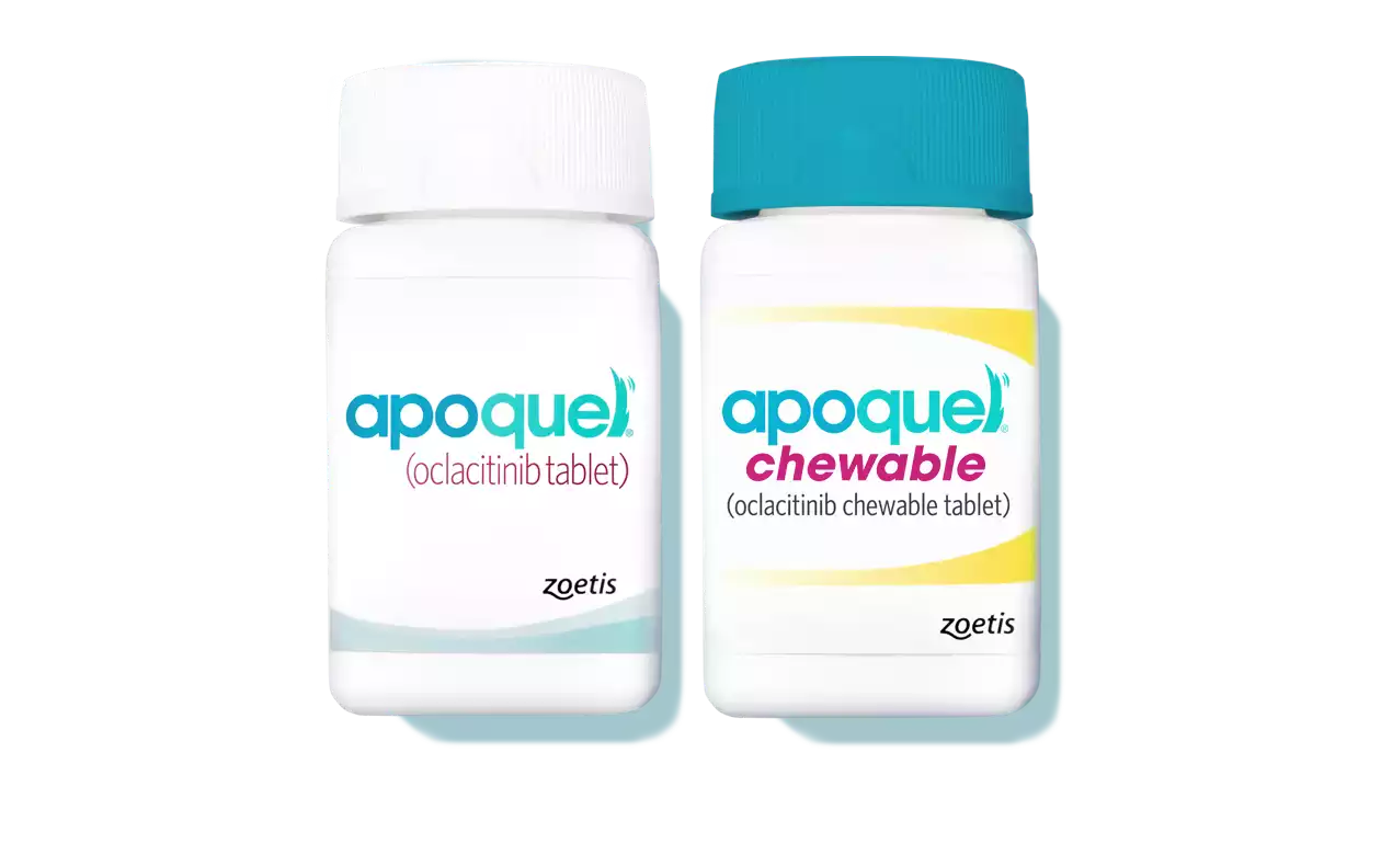 Learn More About the Benefits of&nbsp;Apoquel