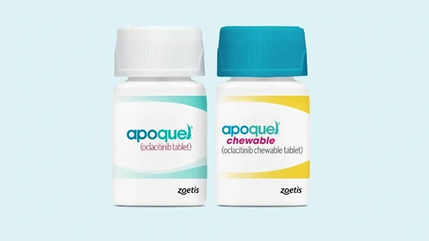 Learn More About the Benefits of&nbsp;Apoquel