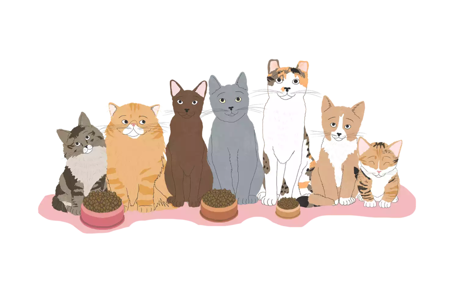 illustration of cats at feeding bowls