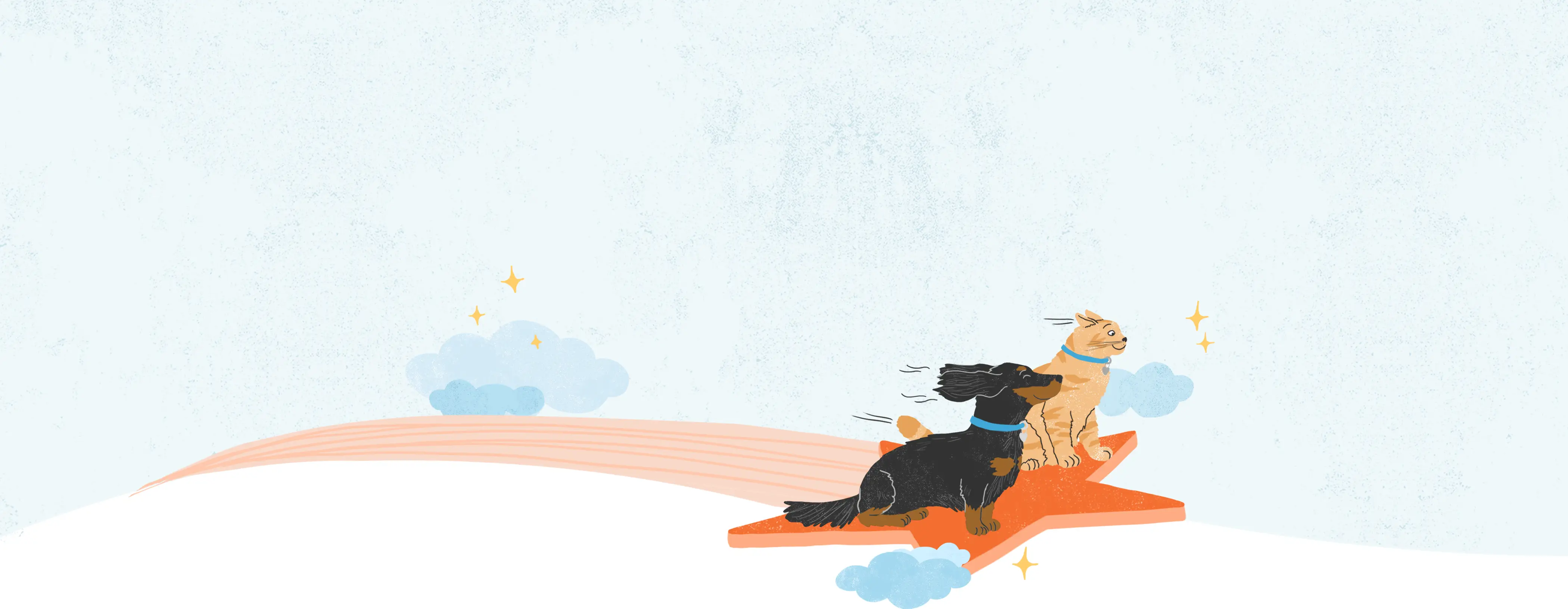 Dog and cat sitting on a star