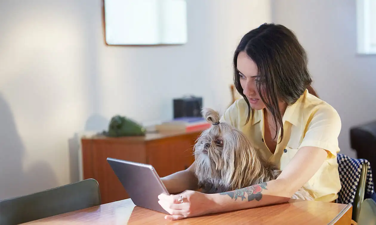 A woman sitting at a table using a laptop computer with a dog on her lap.
