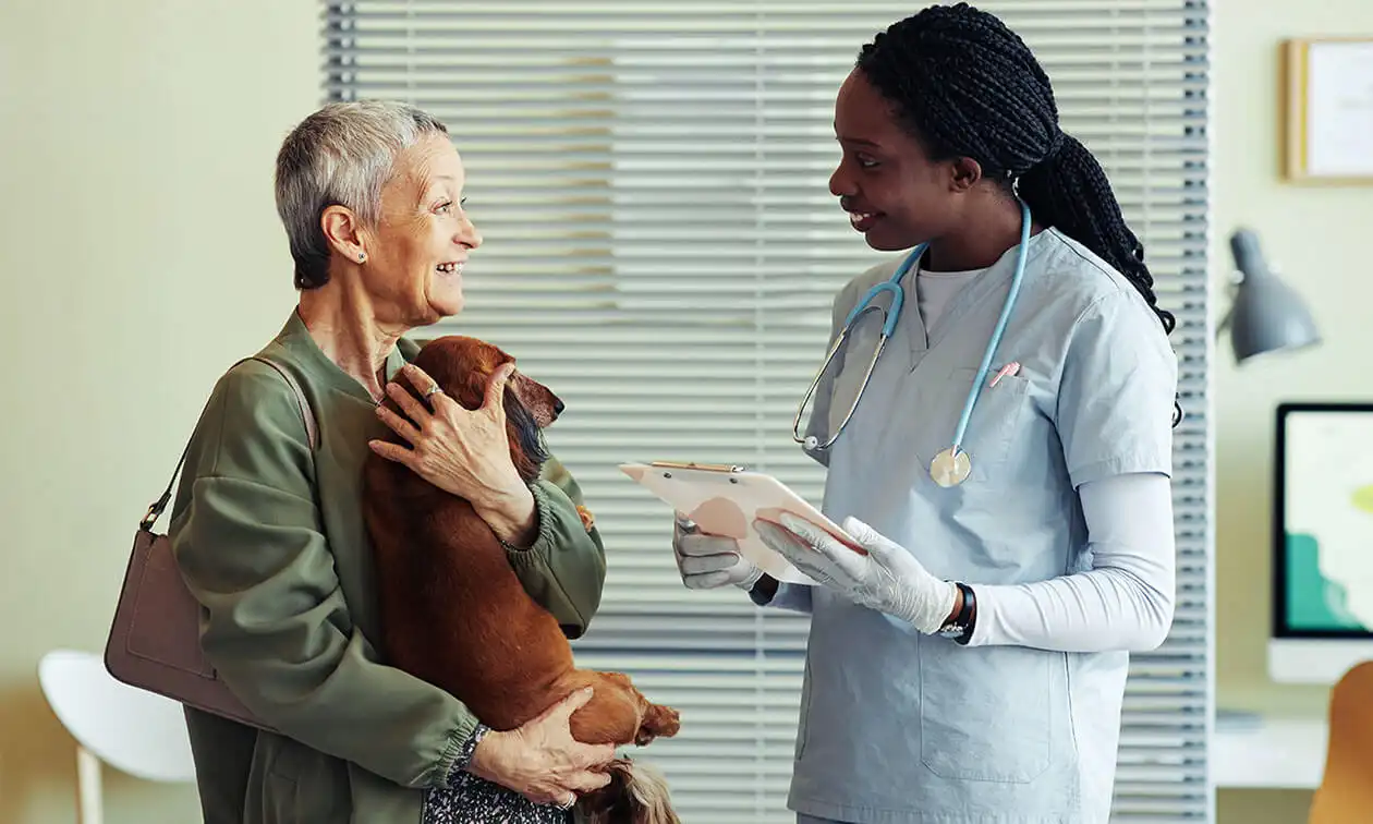 A woman talking to a vet about her dog.