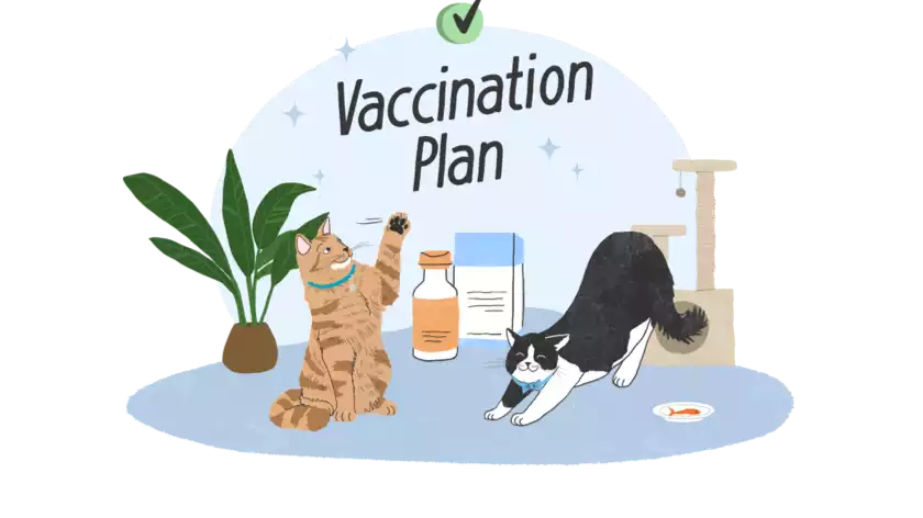 Vaccines Quiz for Cats
