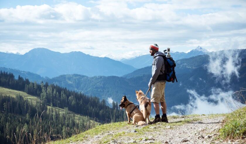 Hiking with Your Dog