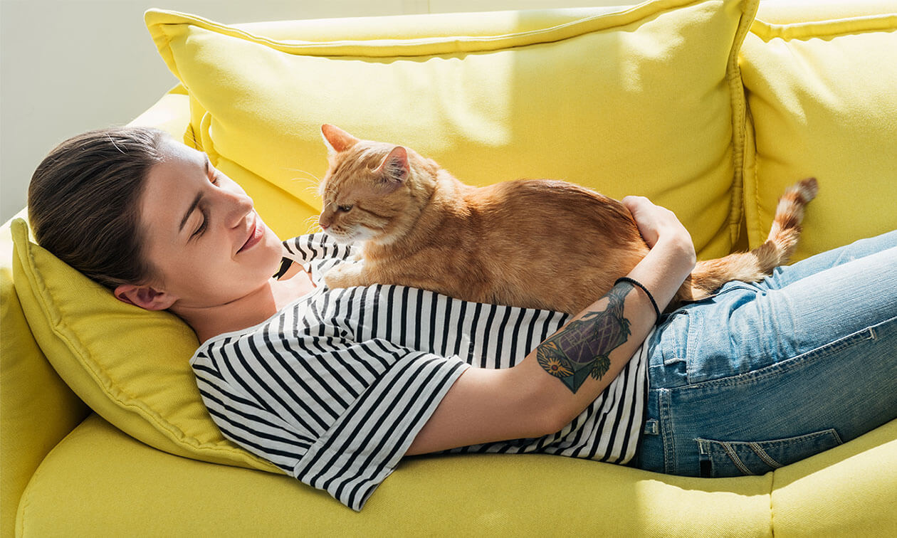 A woman laying on a couch holding a cat.