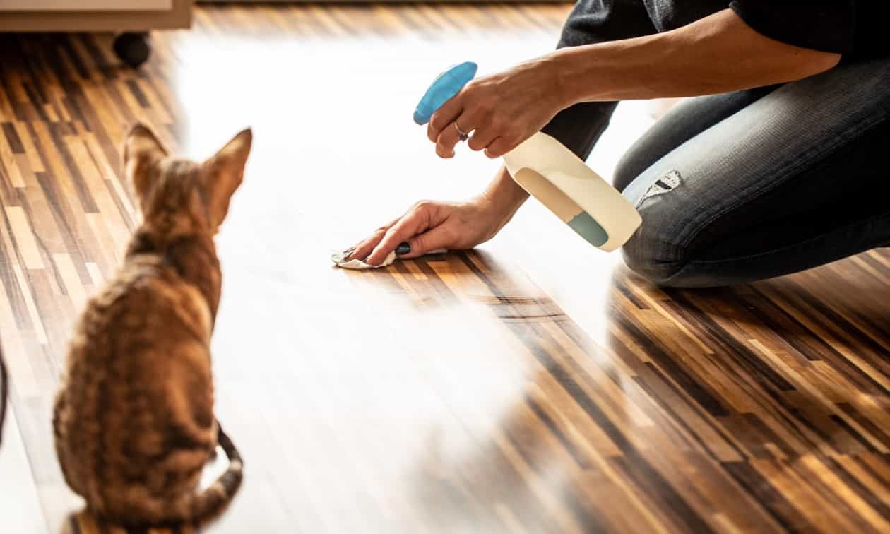 Woman using a cleaning product while her cat watches