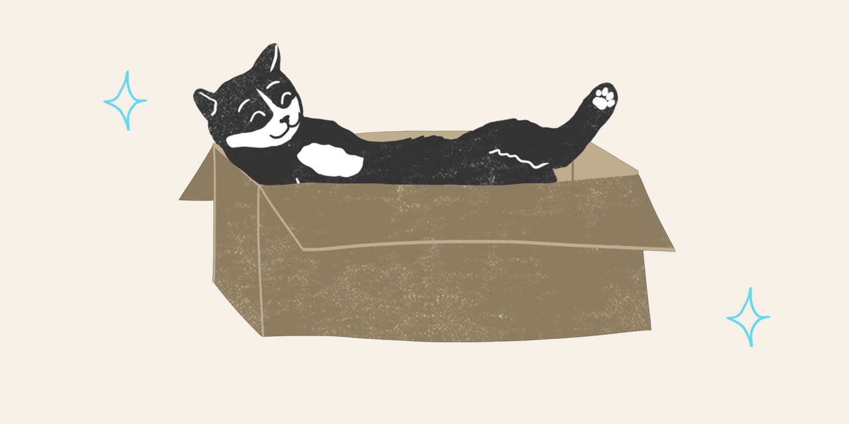 Cat relaxing in cardboard box