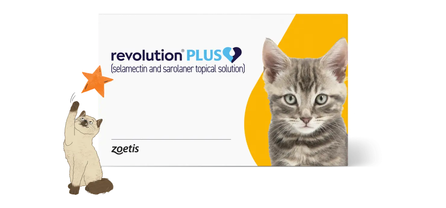 Earn up to $29 in Rewards With Your Revolution Plus Purchase