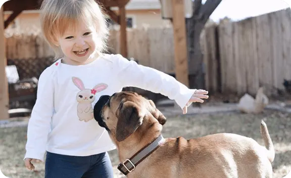 Child petting dog