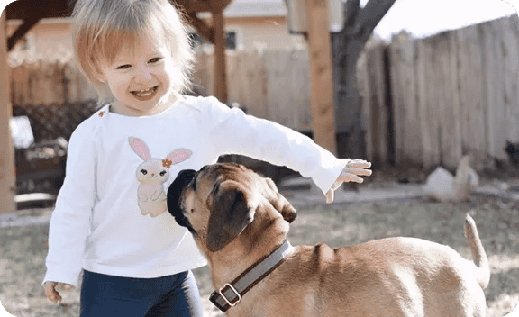 Child petting dog
