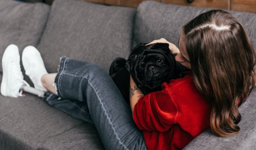 High Blood Pressure in Dogs: What to Know