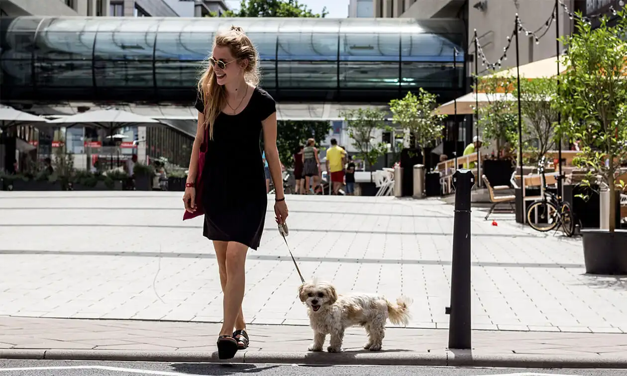 A woman walking a small dog on a leash.