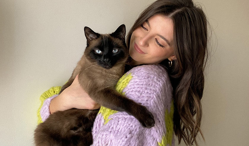 How to Help a Cat with Fear and Anxiety
