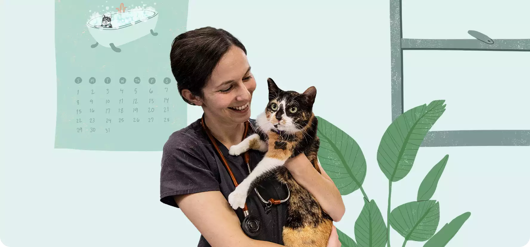 Steps to a Stress-Free Vet Visit for You and Your Cat